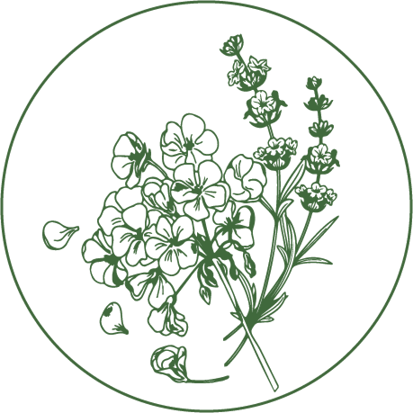 Dill herb bouquet with feathery leaves and small umbrella flowers inside a circular frame.