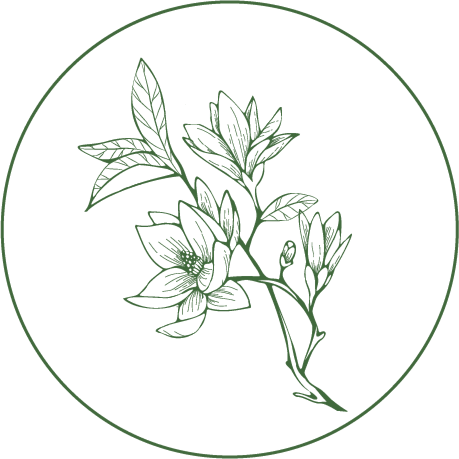 Magnolia