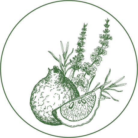 Illustration of a citrus fruit with a sliced wedge and sprigs of herbs (rosemary and thyme) inside a circular border.