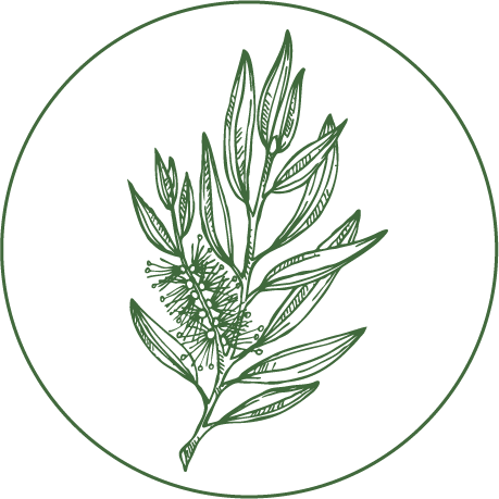 Decorative logo: green botanical sprig enclosed in a circle.