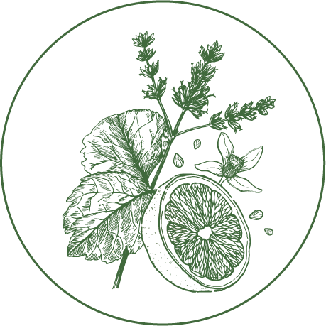 Green botanical illustration inside a circular border: a lemon half with mint and thyme sprigs spilling across the image.