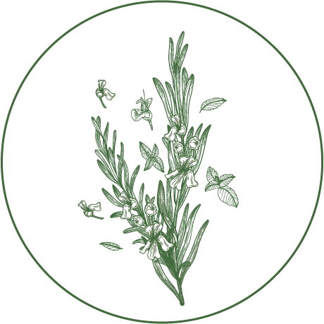 Illustration of a lavender sprig with green leaves and small flowers inside a circular green border.