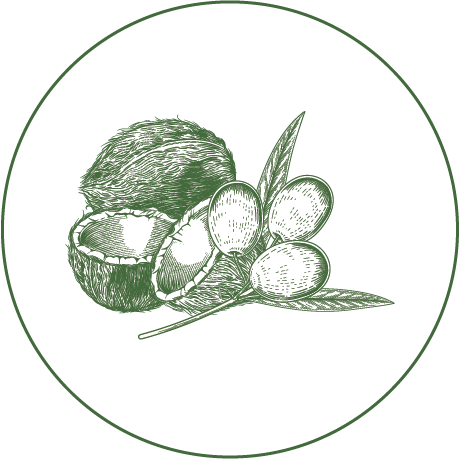Green circular emblem with a sketch of a cracked coconut and a cluster of almonds with leaves